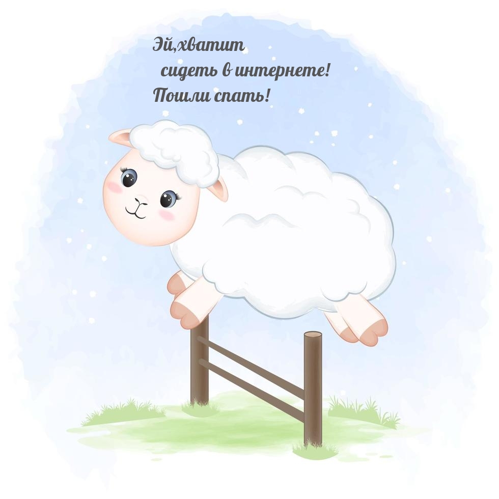 Эй, хватит сидеть в интернете! Пошли спать!