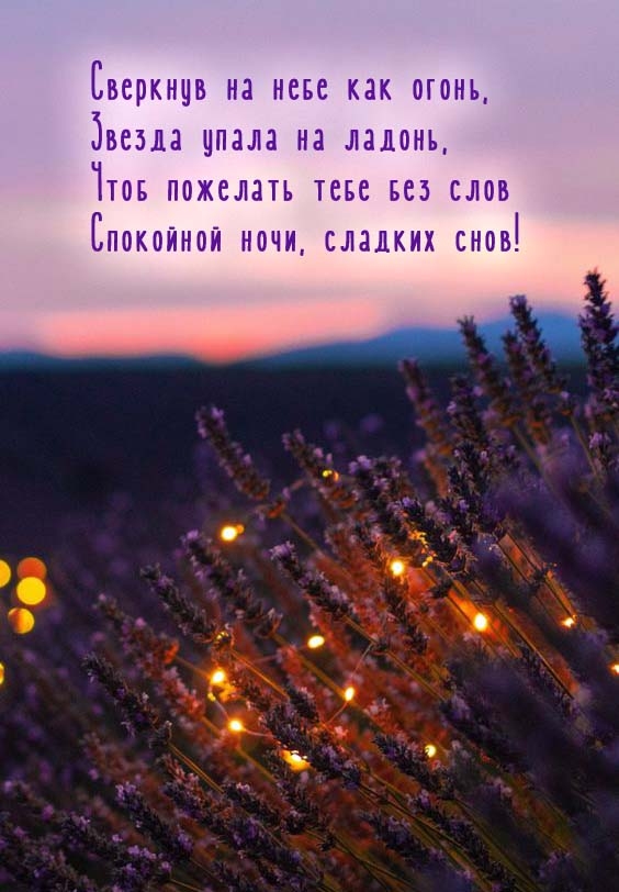 Чтоб пожелать тебе без слов Спокойной ночи, сладких снов!