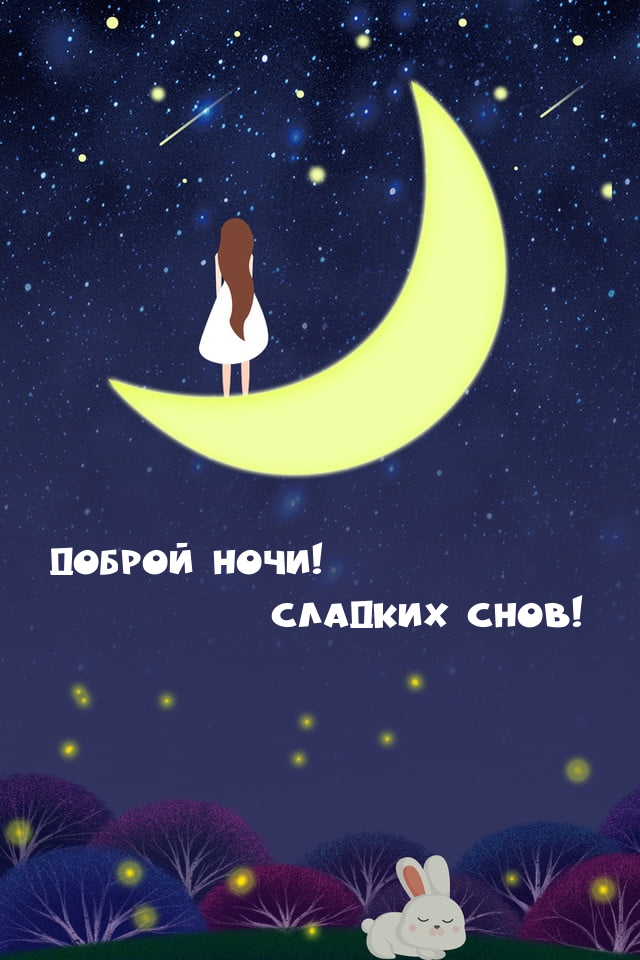 Доброй ночи! Сладких снов!