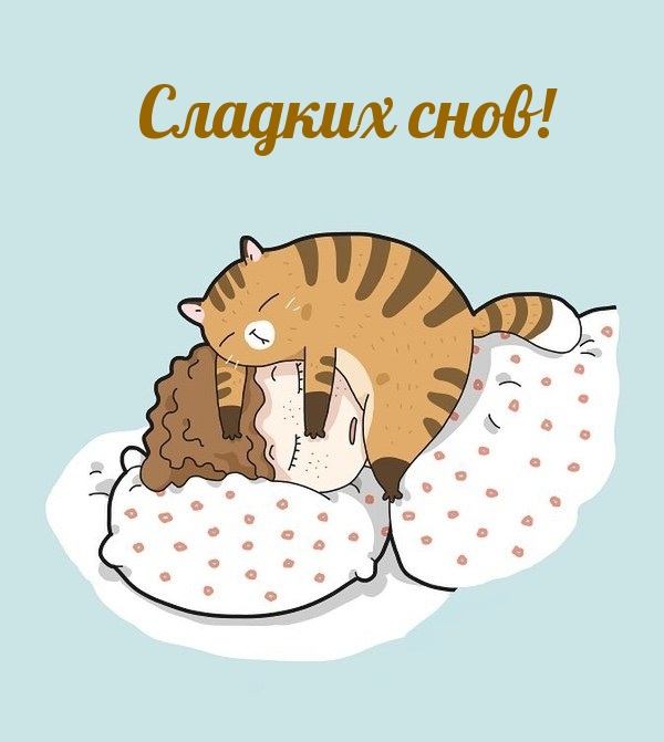 Сладких снов!