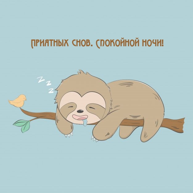 Приятных снов. Спокойной ночи!