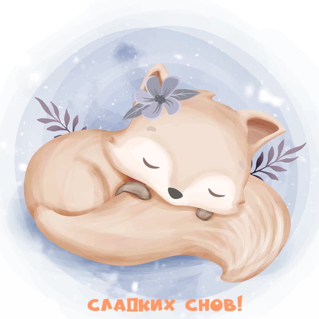 Сладких снов!