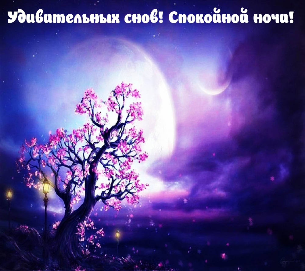 Удивительных снов! Спокойной ночи!