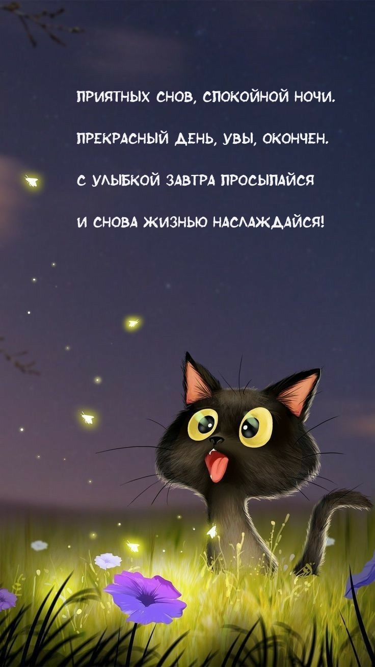 Приятных снов, спокойной ночи. Прекрасный день, увы, окончен.