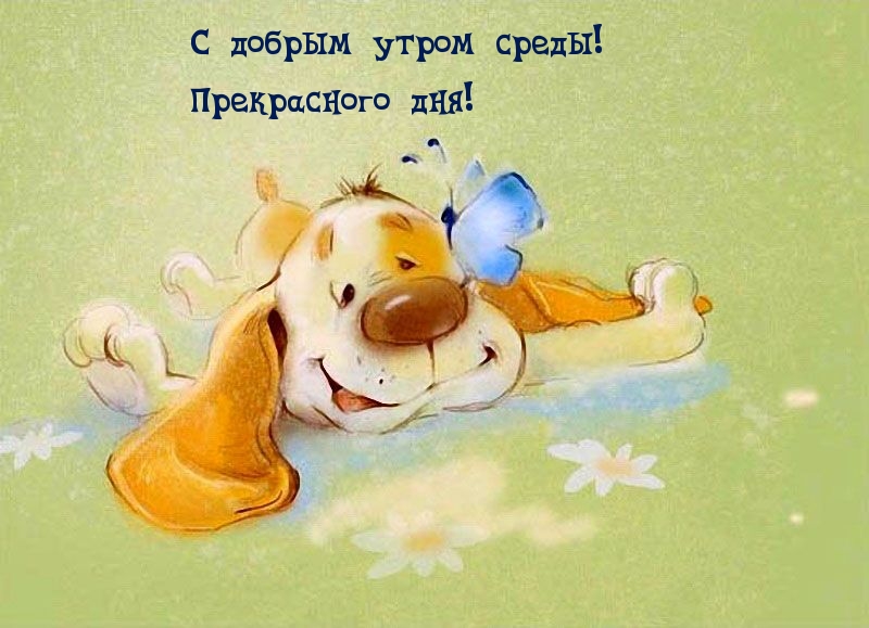 С добрым утром среды! Прекрасного дня!