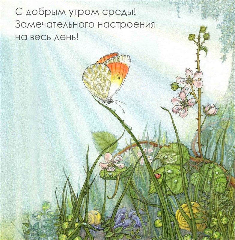 С добрым утром среды! Замечательного настроения!