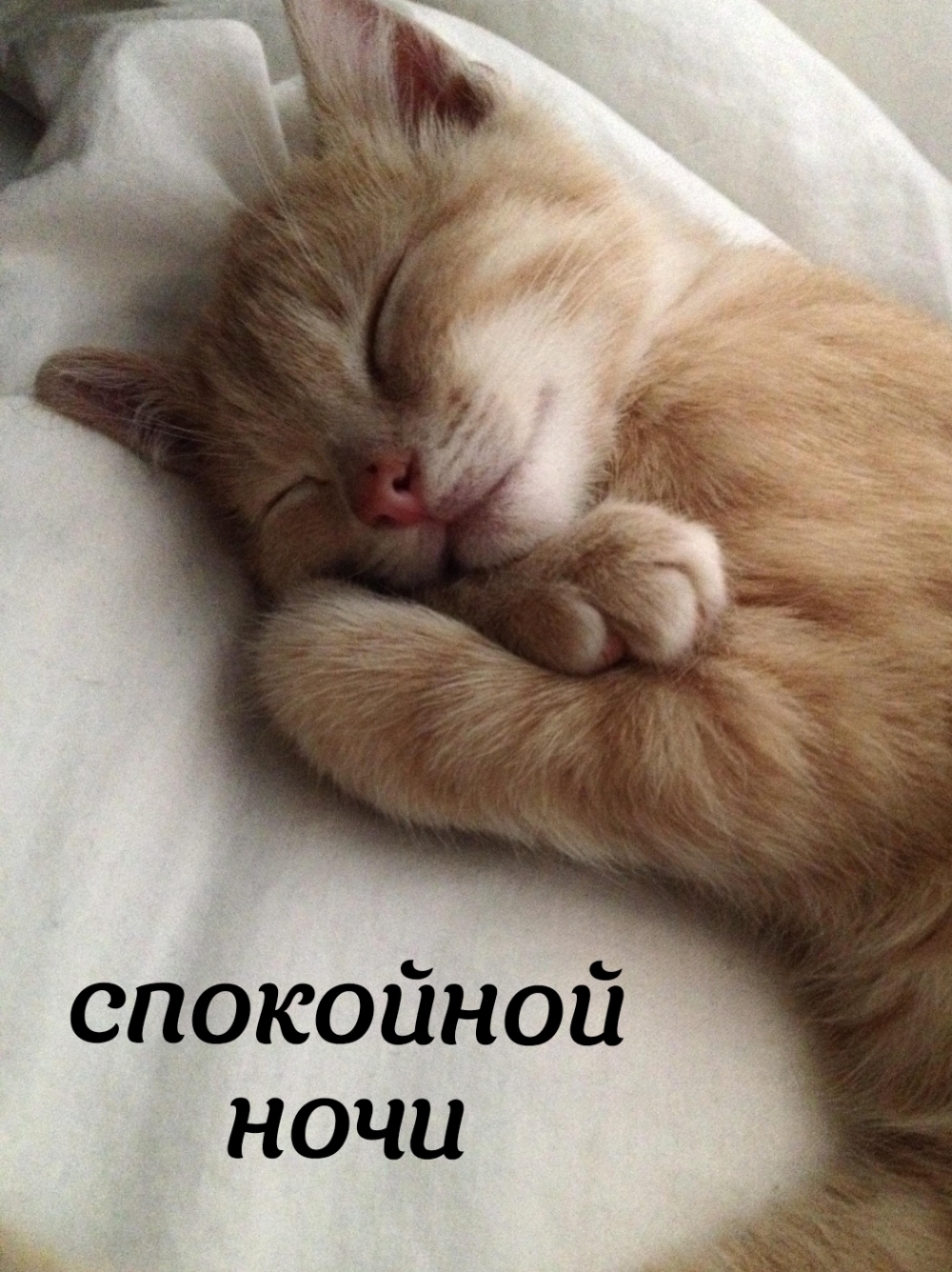 Спокойной ночи