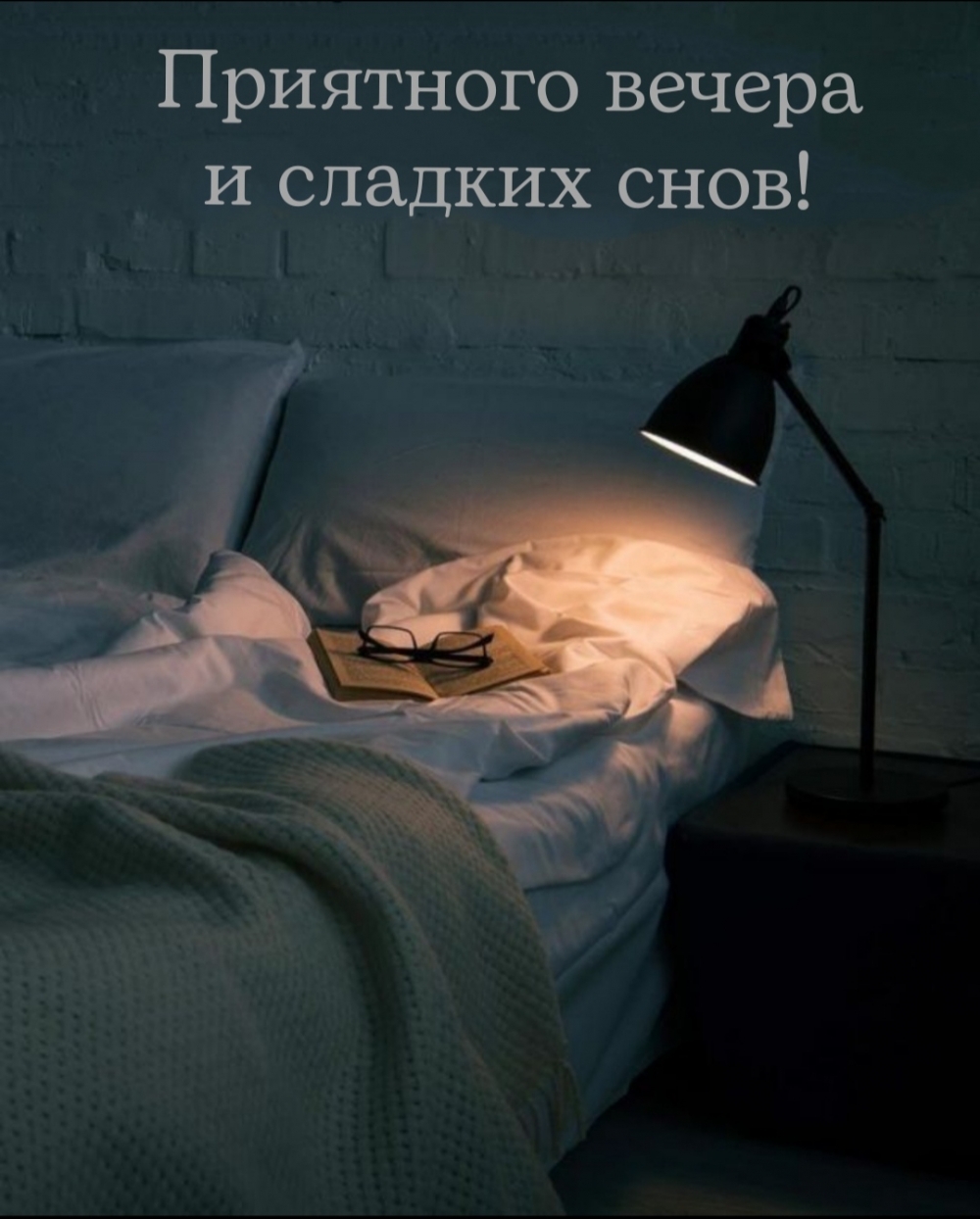 Приятного вечера и сладких снов!