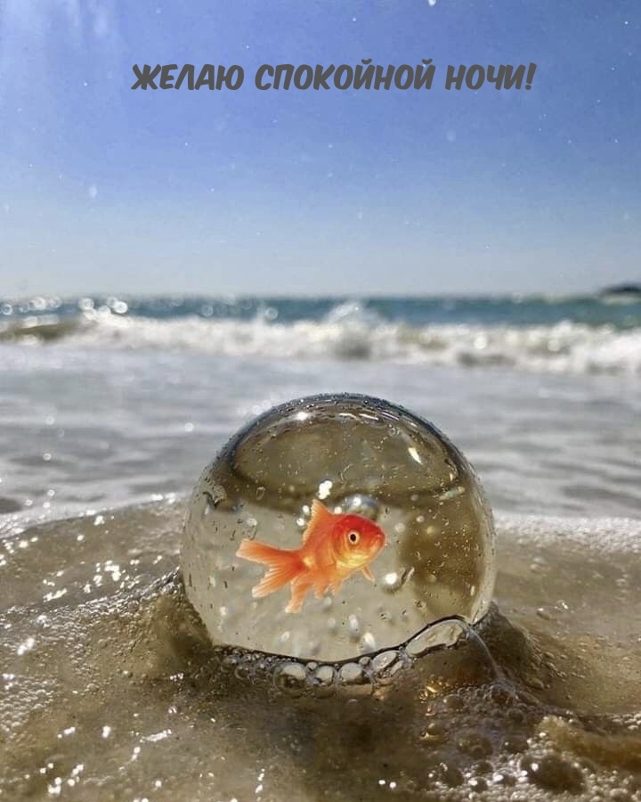 Желаю спокойной ночи!
