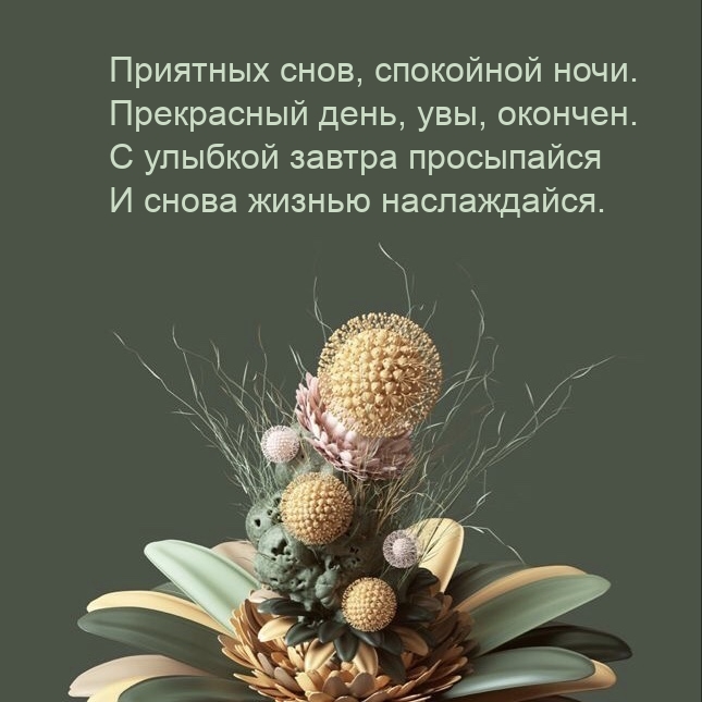 Приятных снов, спокойной ночи. Прекрасный день, увы, окончен.