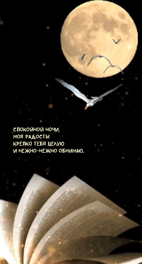 Спокойной ночи, моя радость! Крепко тебя целую