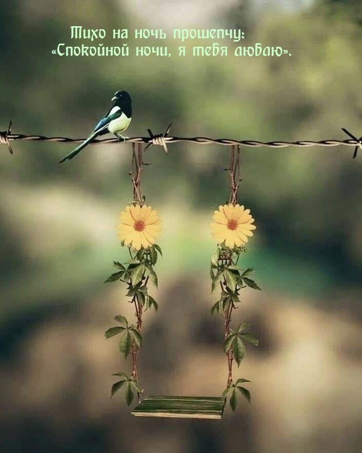 Тихо на ночь прошепчу: «Спокойной ночи, я тебя люблю».