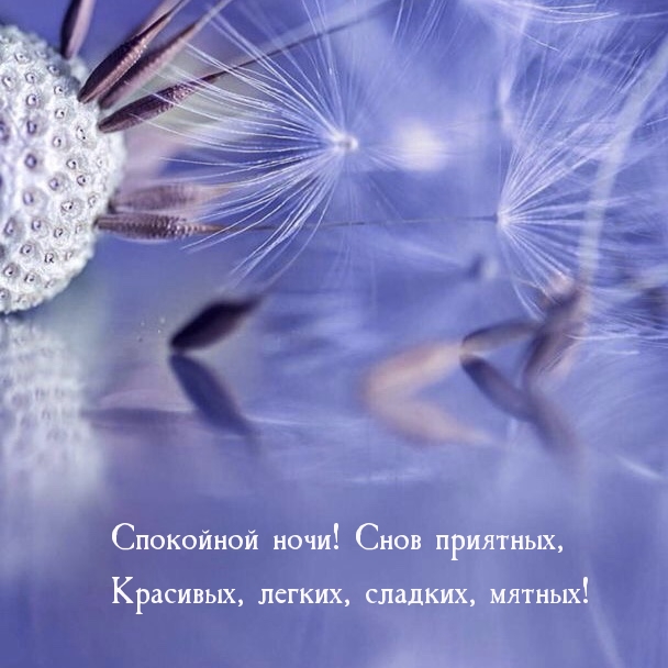 Снов приятных, красивых, легких, сладких, мятных!