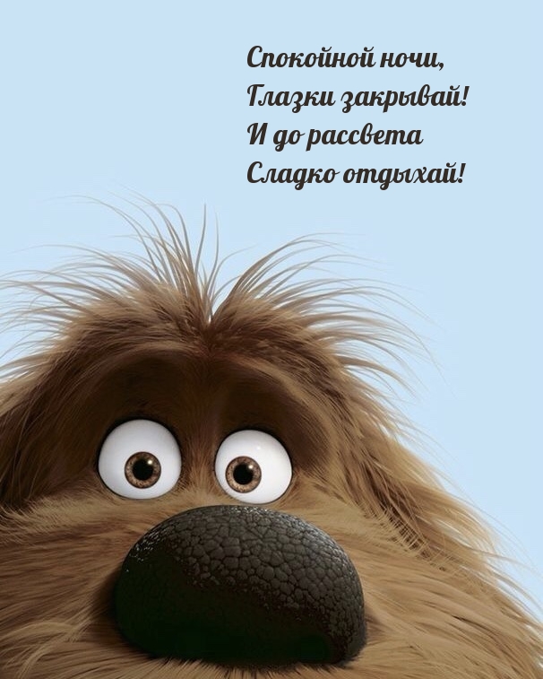 Спокойной ночи, Глазки закрывай! И до рассвета сладко отдыхай!