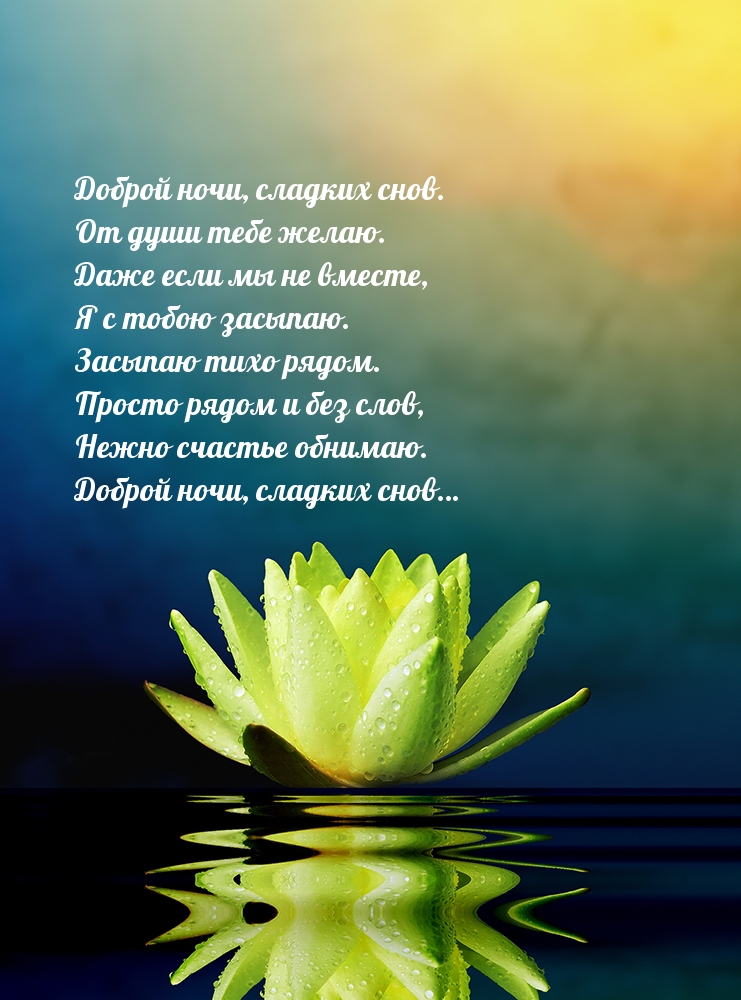 Доброй ночи, сладких снов. От души тебе желаю.