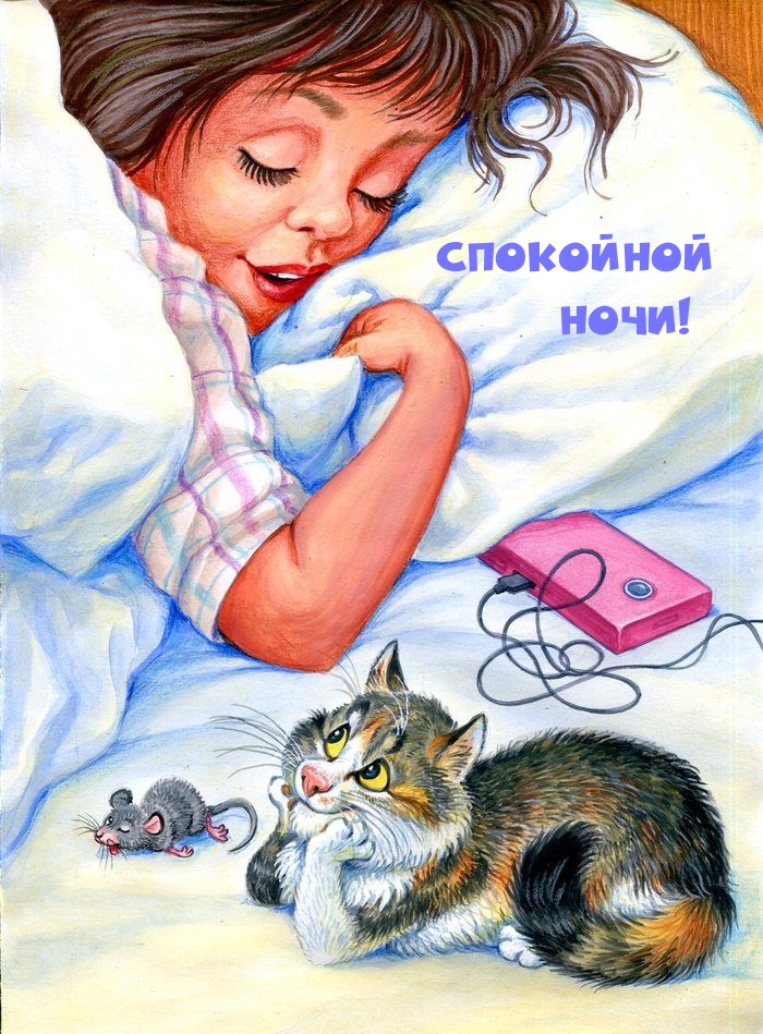 Спокойной ночи!