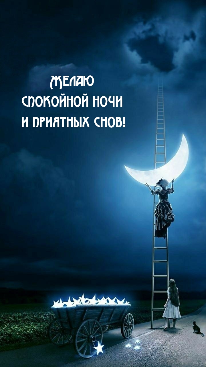 Желаю спокойной ночи и приятных снов!