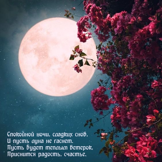 Спокойной ночи, сладких снов, и пусть луна не гаснет.