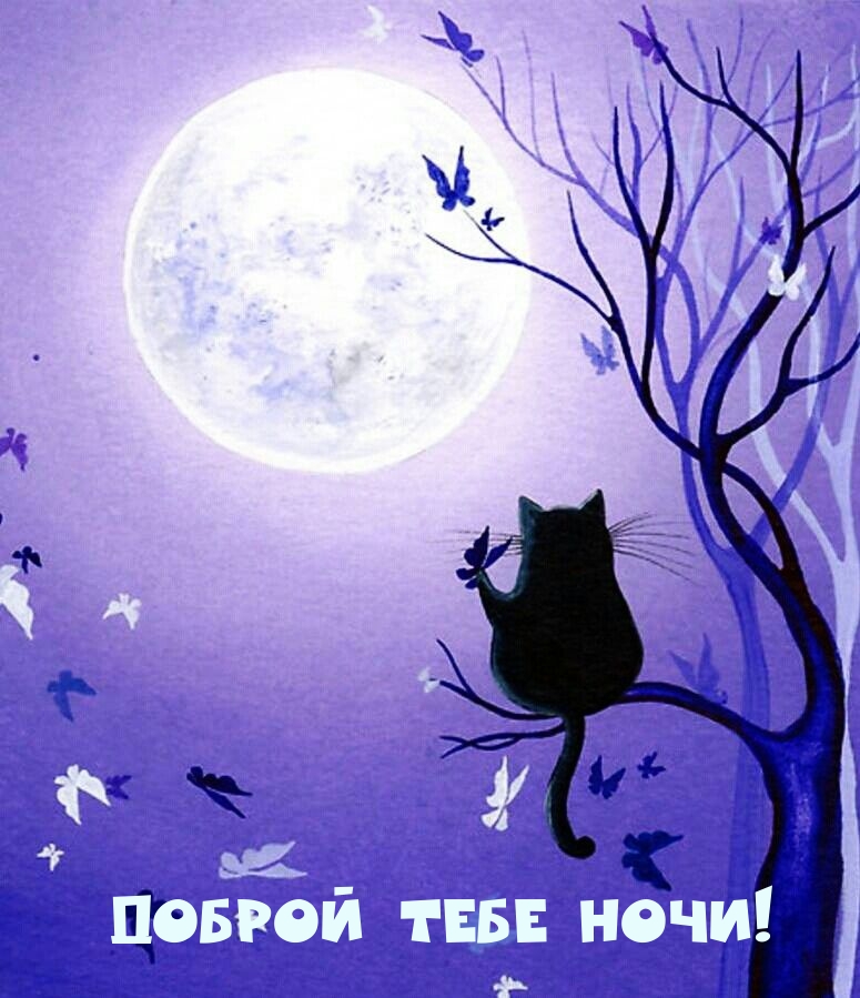 Доброй тебе ночи!