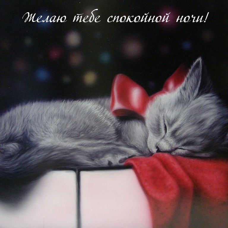 Желаю тебе спокойной ночи!