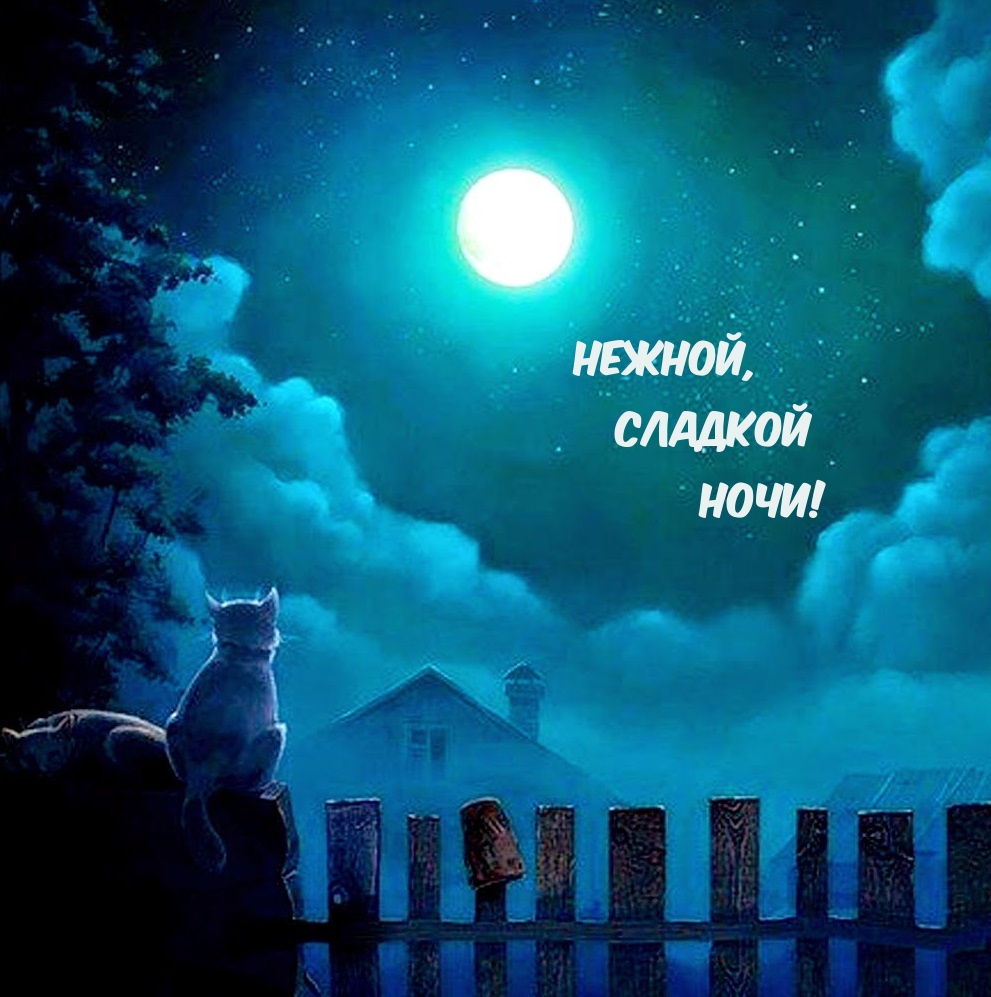 Нежной, Сладкой Ночи!