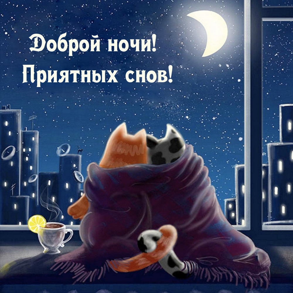 Доброй ночи! Приятных снов!