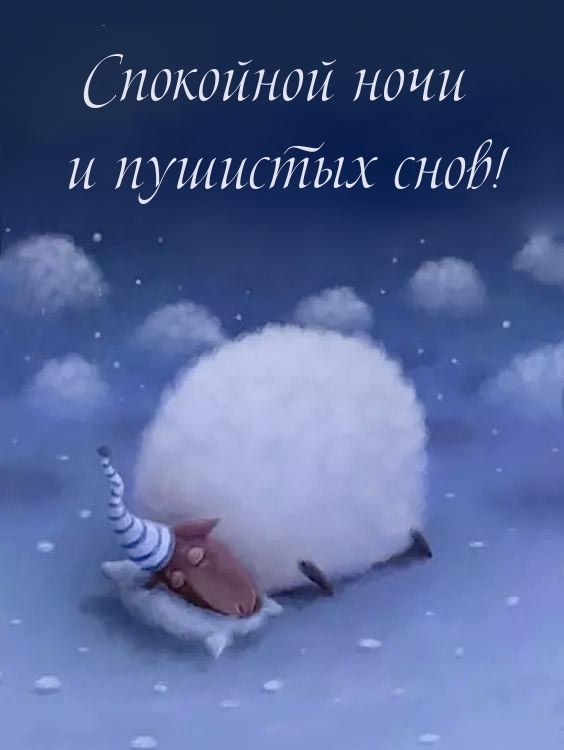 Спокойной ночи и пушистых снов!