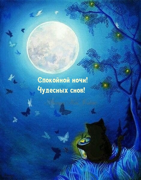 Спокойной ночи! Чудесных снов!
