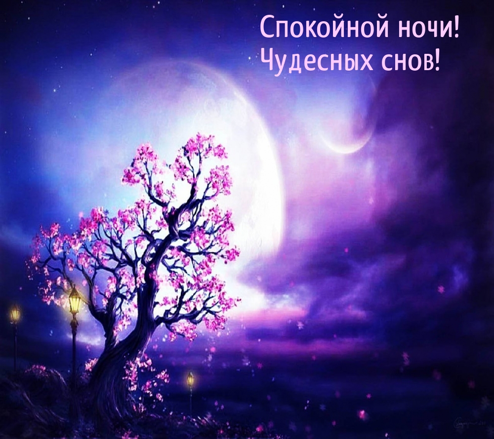 Спокойной ночи! Чудесных снов!