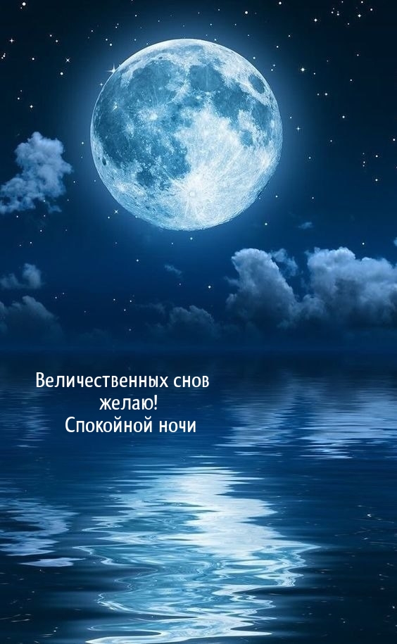 Величественных снов желаю! Спокойной ночи