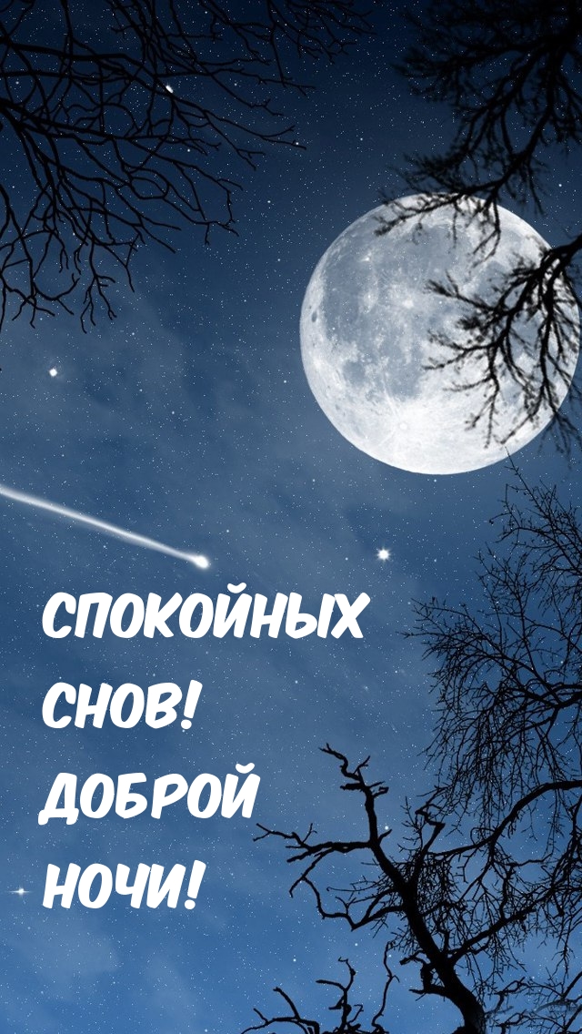 Спокойных снов! Доброй ночи!