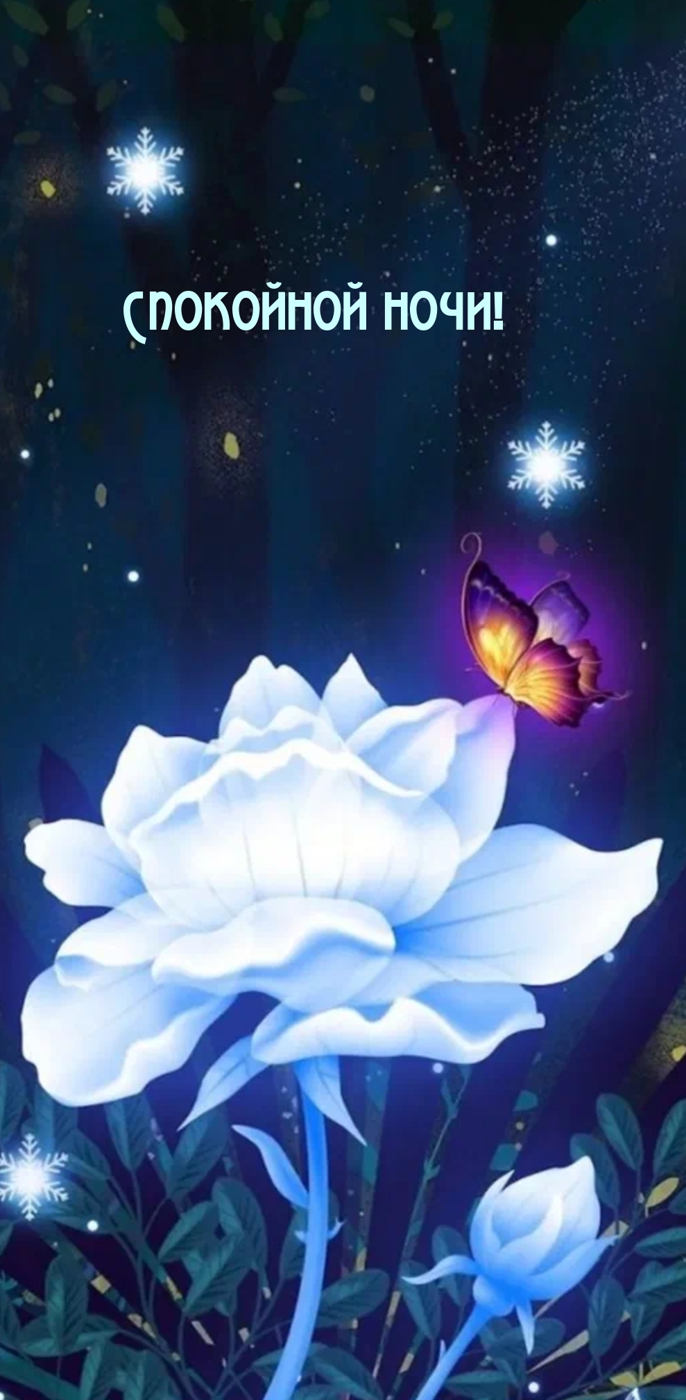 Спокойной ночи!