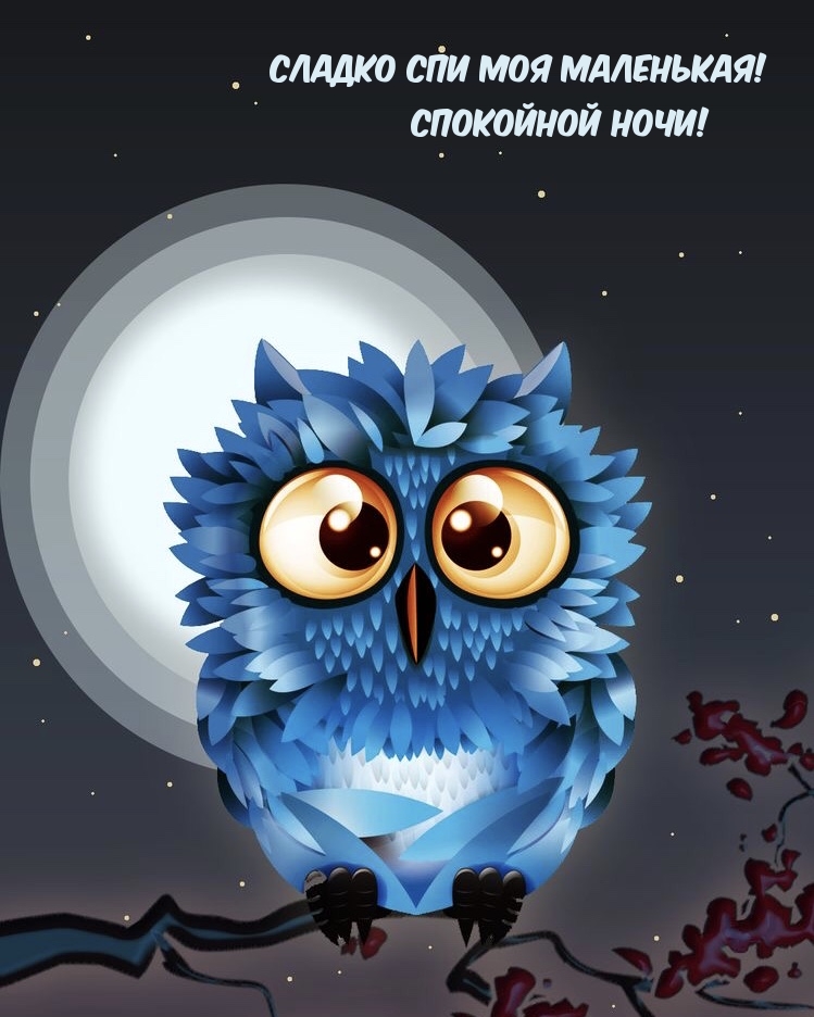 Сладко спи моя маленькая! Спокойной ночи!