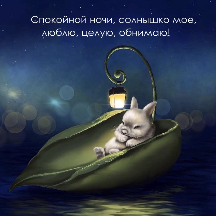 Спокойной ночи, солнышко мое, люблю, целую, обнимаю!