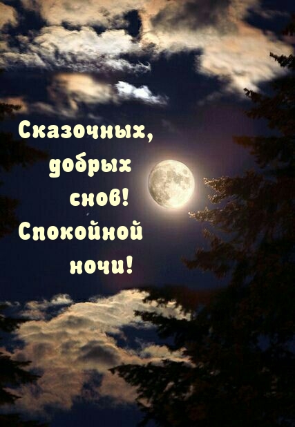 Сказочных, добрых снов! Спокойной ночи!