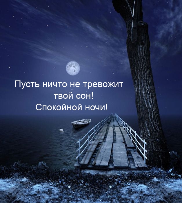 Пусть ничто не тревожит твой сон! Спокойной ночи!