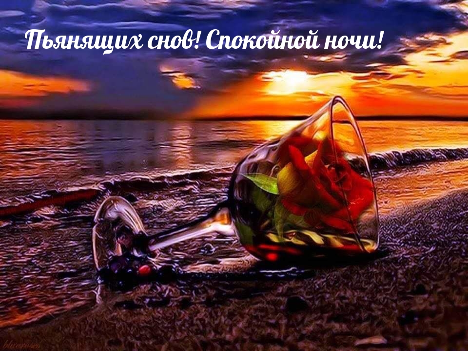 Пьянящих снов! Спокойной ночи!