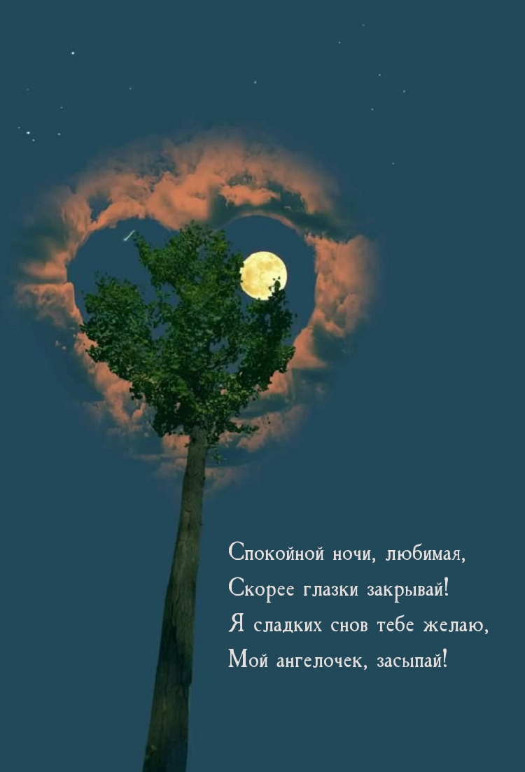 Спокойной ночи, любимая, скорее глазки закрывай!
