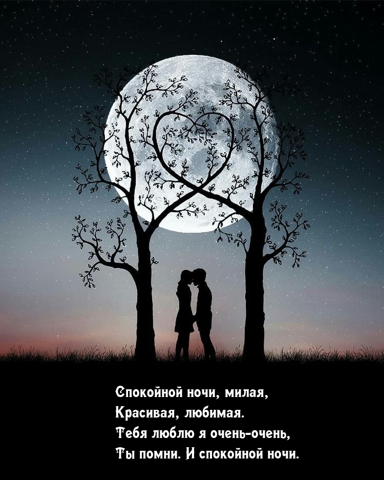 Спокойной ночи, милая, красивая, любимая.
