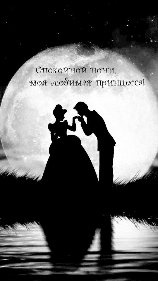 Спокойной ночи, моя любимая принцесса!