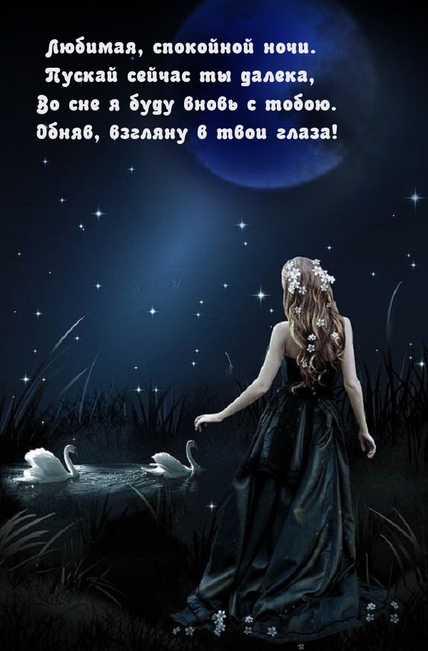 Любимая, спокойной ночи. Во сне я буду вновь с тобою.
