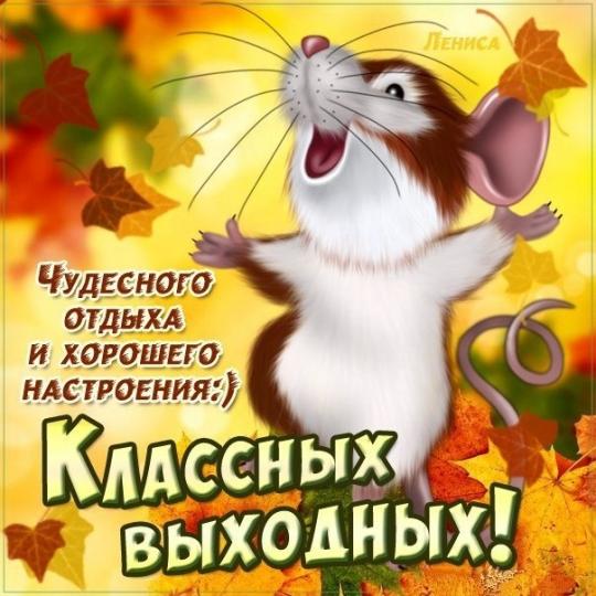 Классных выходных!