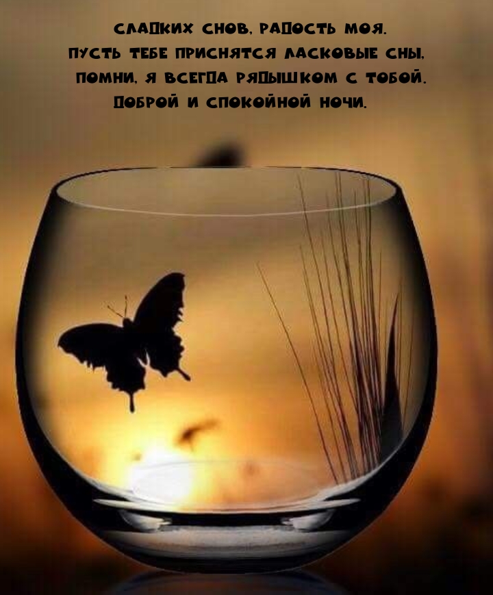 Сладких снов, радость моя. Пусть тебе приснятся ласковые сны