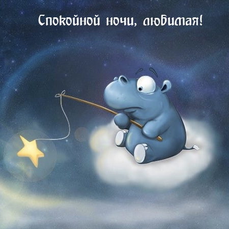 Спокойной ночи, любимая!