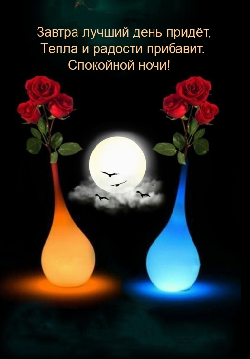 Спокойной ночи! Завтра лучший день придёт