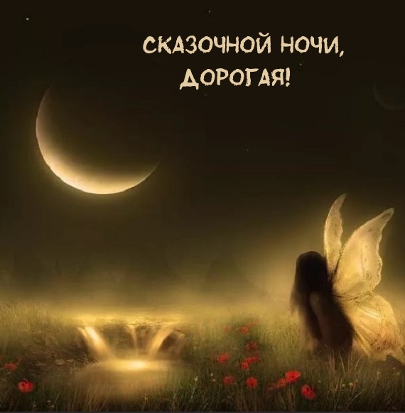 Сказочной ночи, Дорогая!