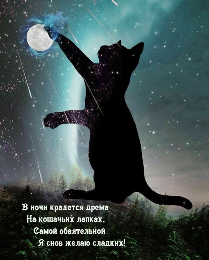 Самой обаятельной я снов желаю сладких!