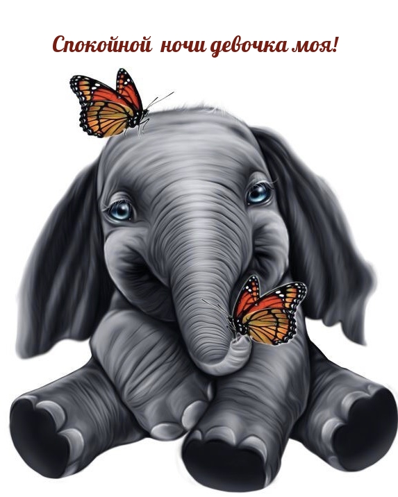 Спокойной ночи девочка моя!