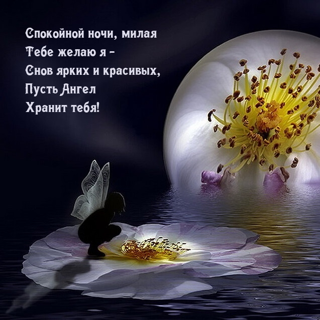 Спокойной ночи, милая Тебе желаю я — снов ярких и красивых
