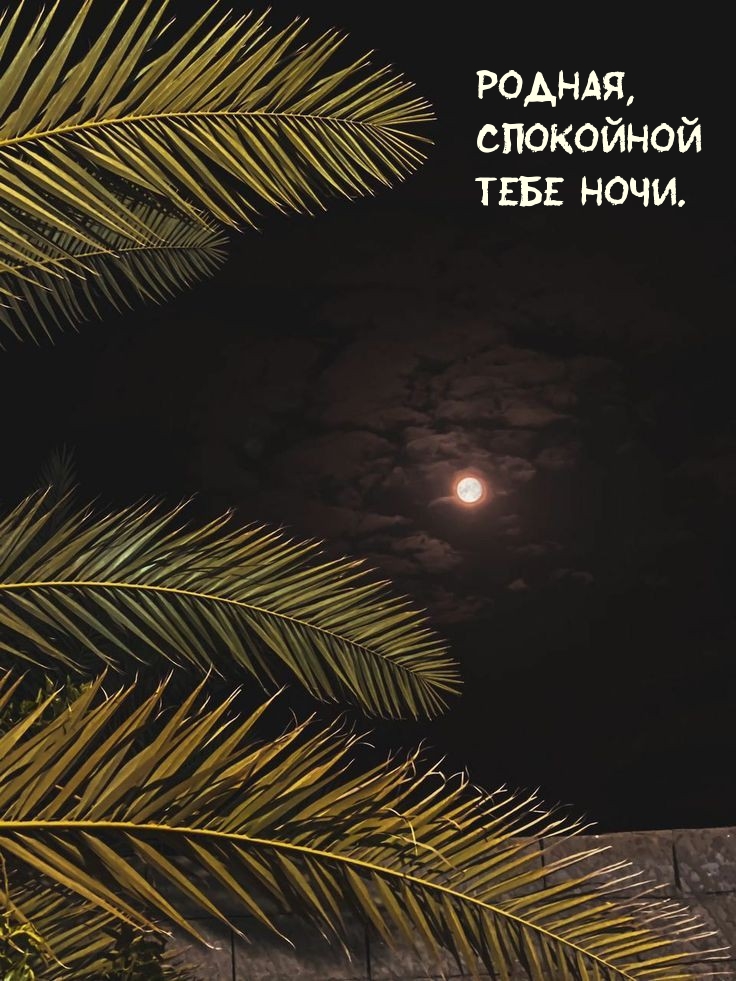 Родная, Спокойной Тебе ночи.